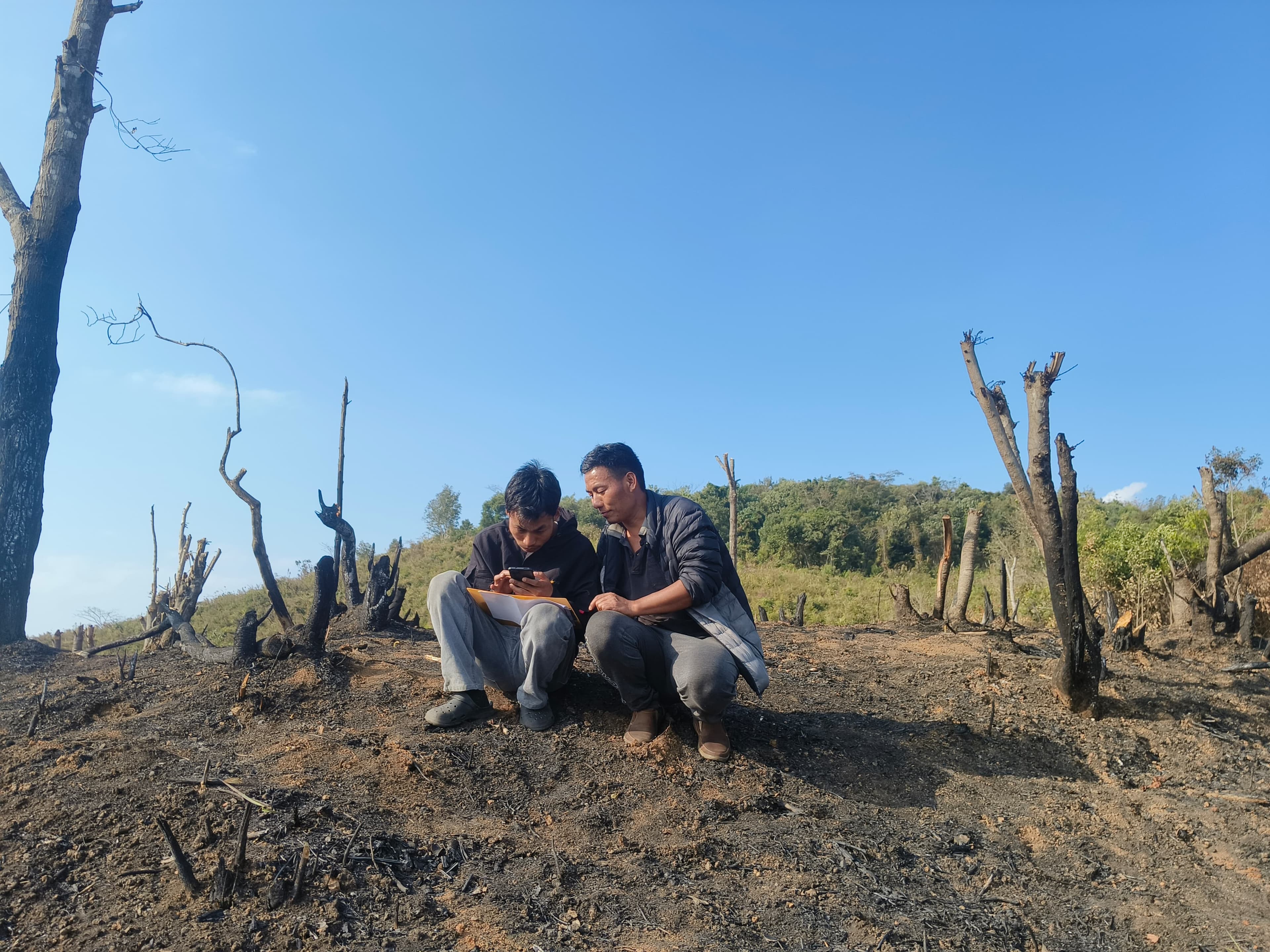 Rolling hills of Nagaland — the Patkai range at dawn.